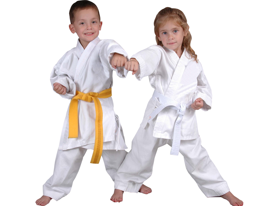 Karate For Kids - Brown's Leadership Martial Arts Training